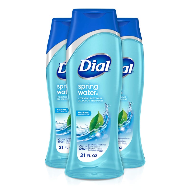 Dial Body Wash, Spring Water with All Day Freshness, 21-Fluid Ounces (Pack of 3) - Image 1